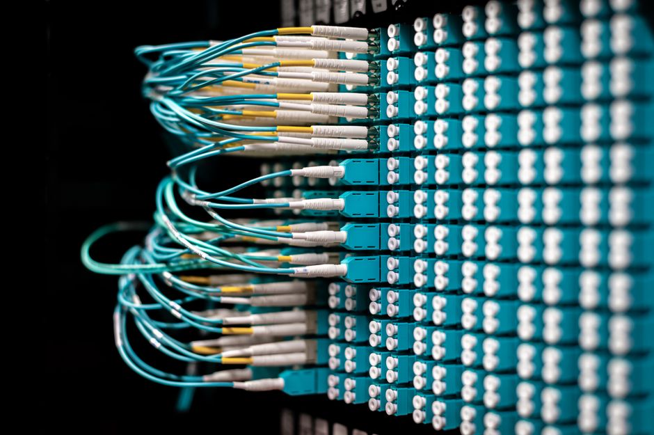 Close-up de cabos de fibra óptica organizados de forma ordenada em um painel de conexão de data center.